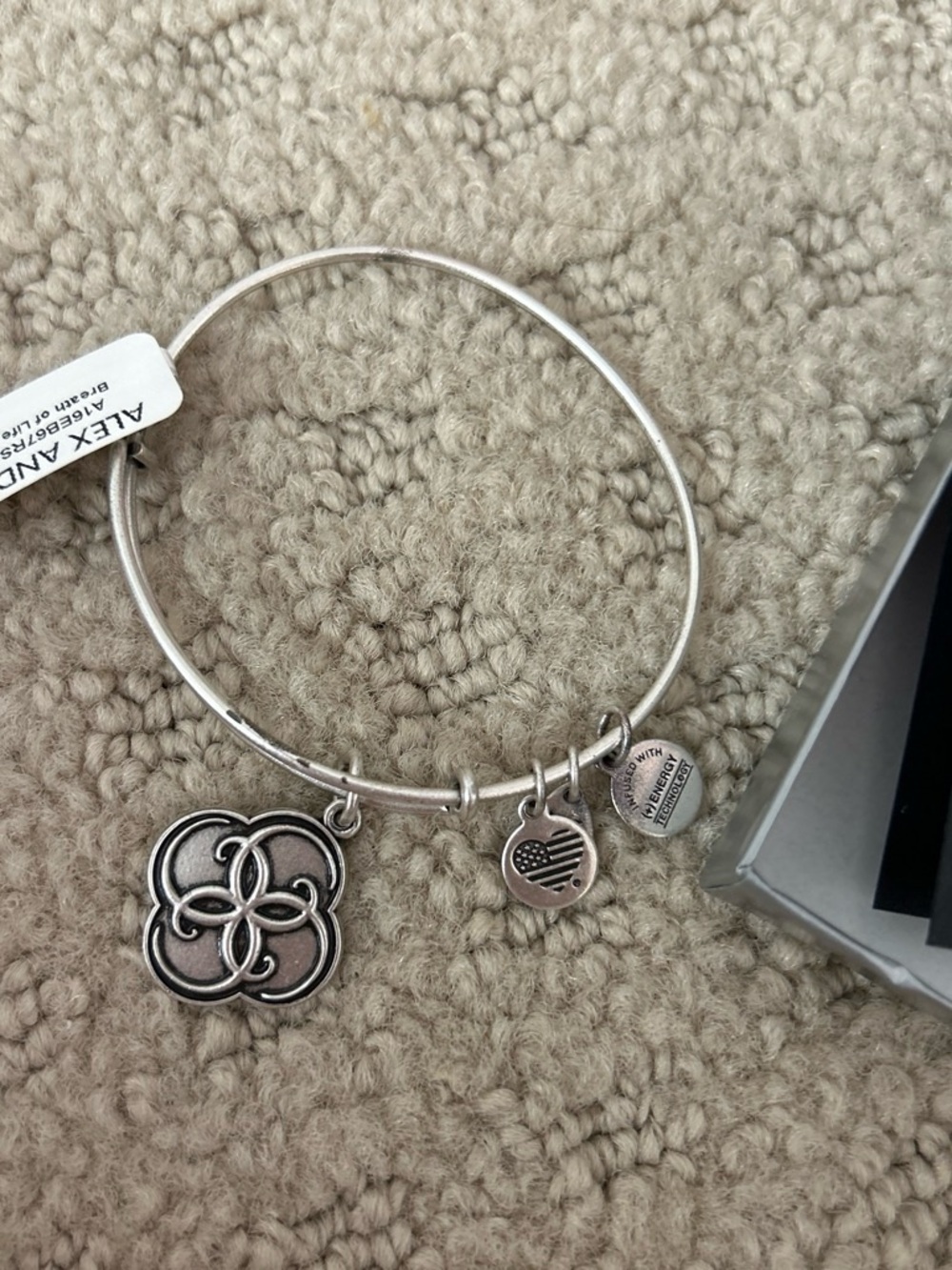 Alex and Ani Charm Bracelet